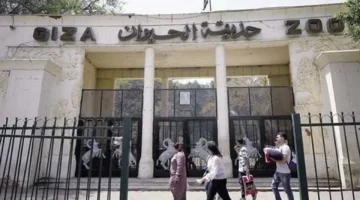 فتح كبير.. تعرف على موعد افتتاح حديقة حيوان الجيزة 2025 وأسعار التذاكر الجديدة